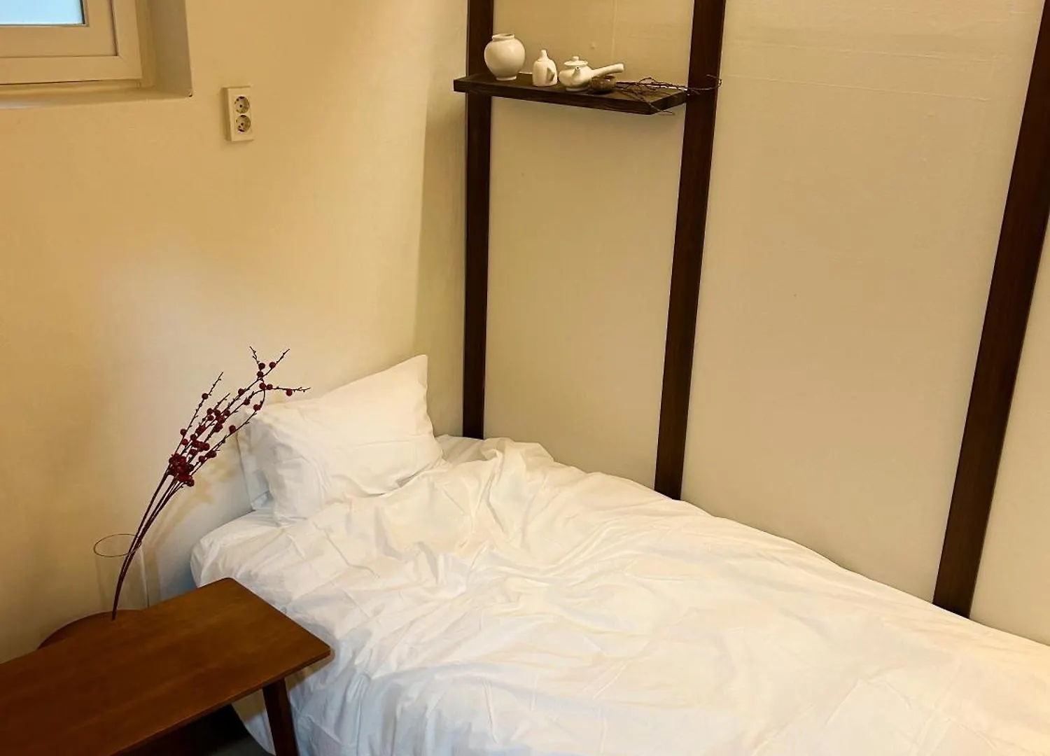 Pocket Seoul Oriental Vandrarhem Sydkorea